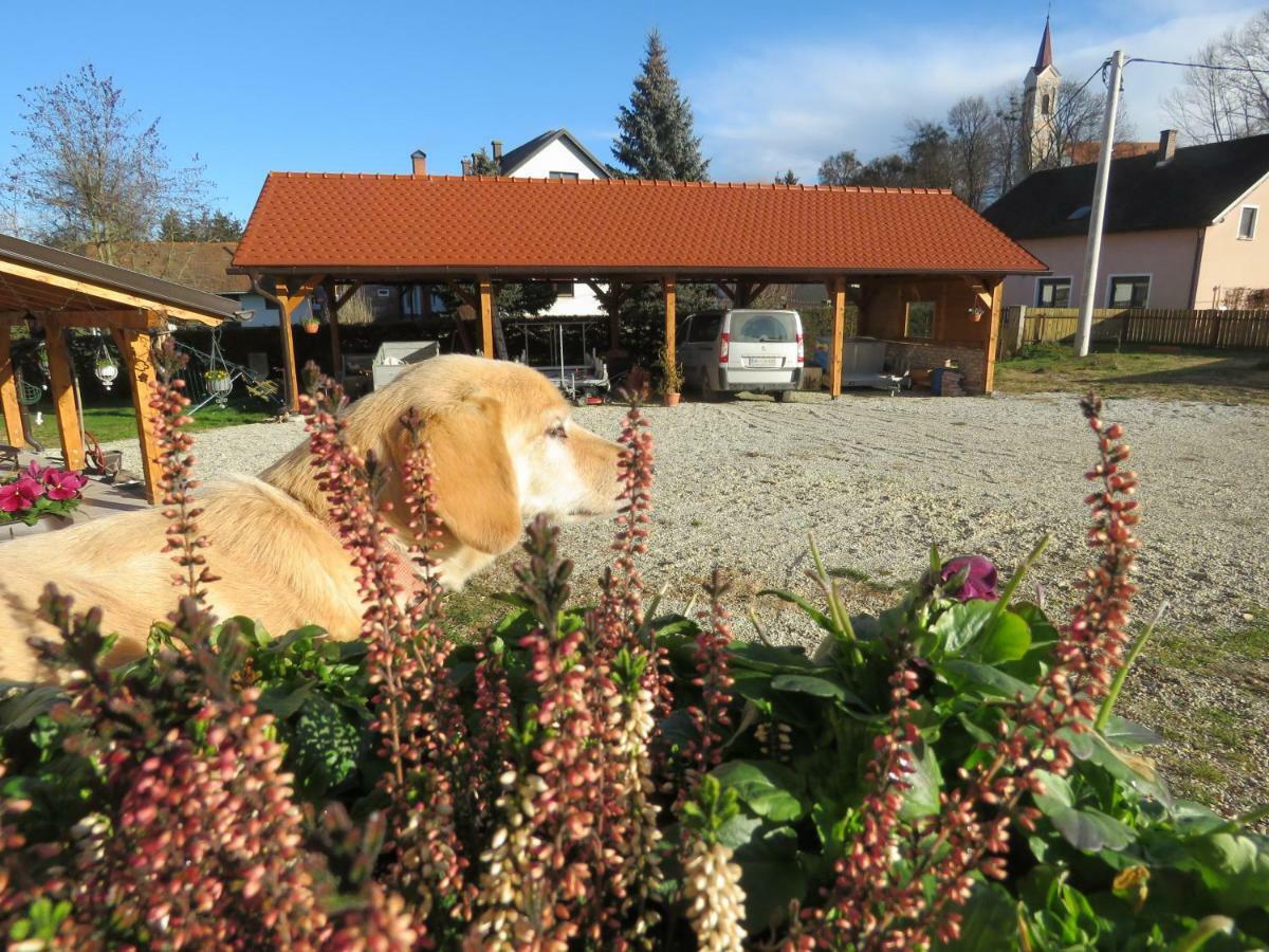 Mill House Apartment And Camping Ljutomer Εξωτερικό φωτογραφία